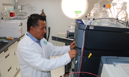 Desarrolla Cinvestav nueva metodología para identificar origen de la...