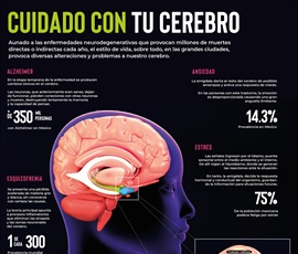 ¡Cuidado con tu cerebro!
