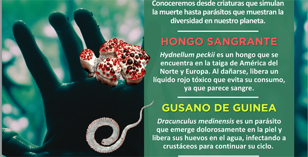 Naturaleza espeluznante