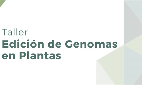 Taller “Edición de Genomas en Plantas”
