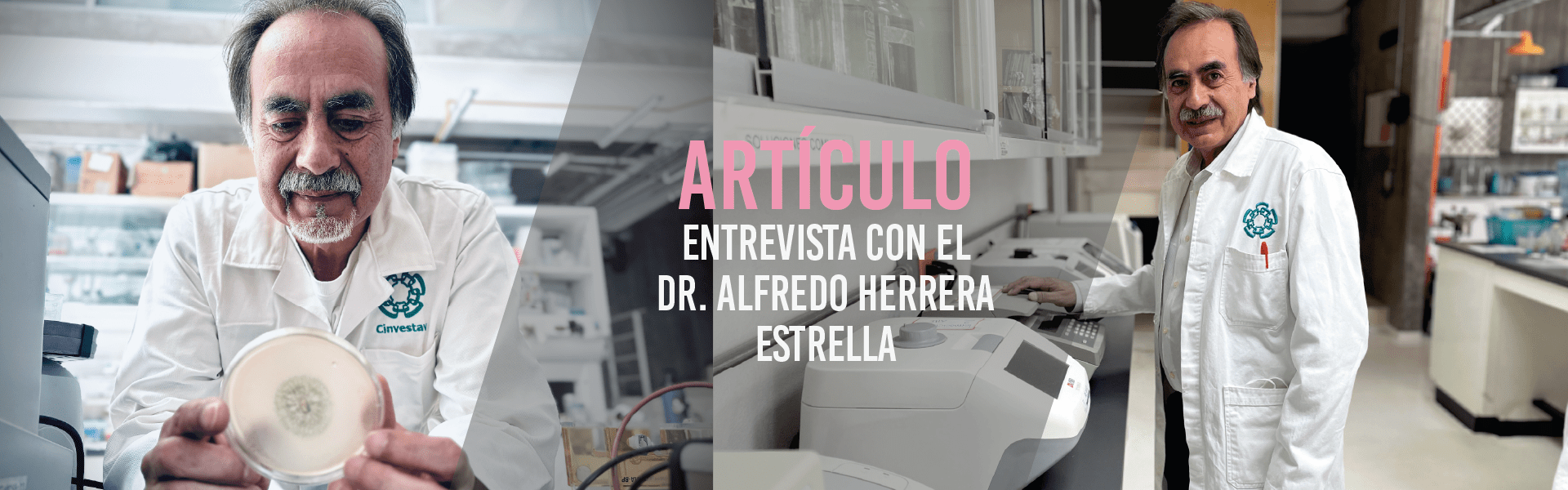 Entrevista con el Dr. Alfredo Herrera Estrella