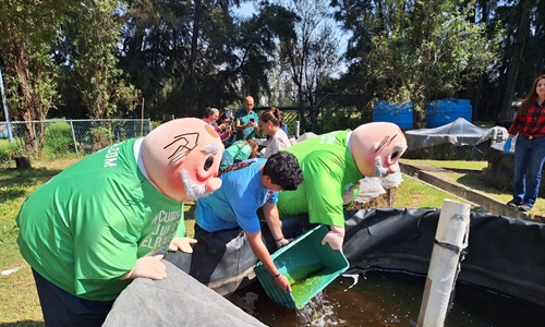 Preliberan mil ajolotes nacidos en la Unidad de Genómica Avanzada del...