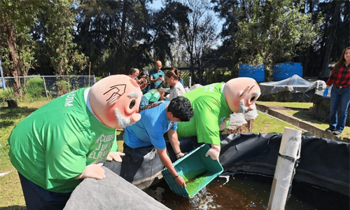 Preliberan mil ajolotes nacidos en la Unidad de Genómica Avanzada del...
