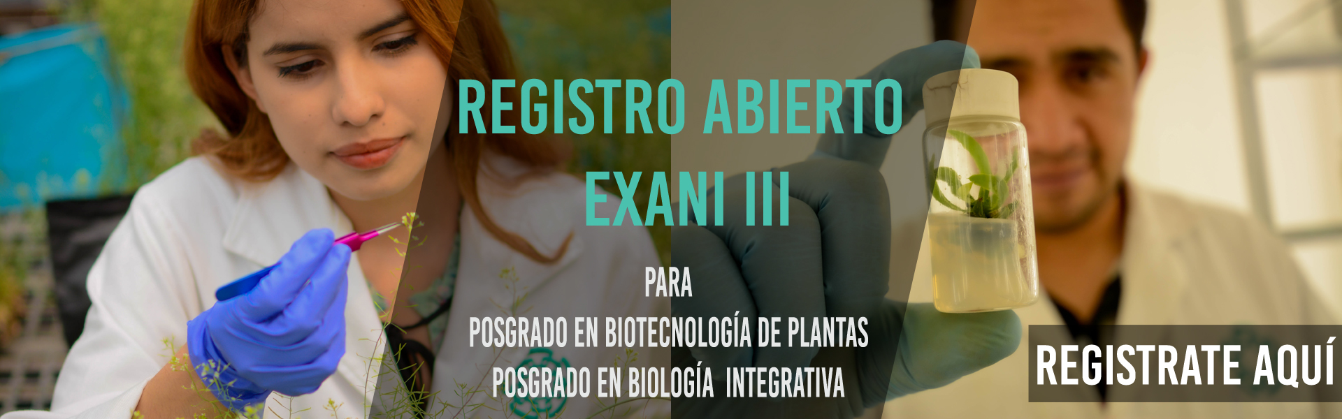 Registro Abierto EXANI III