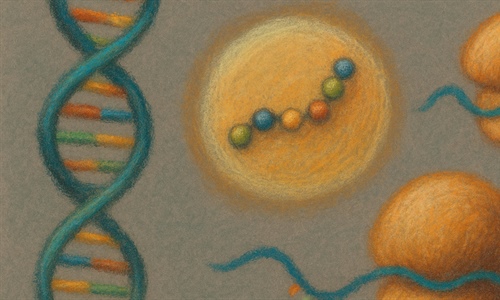 Explorando el universo oculto de los ARN: el fascinante mundo de los...