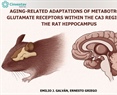 Aging-related adaptations of metabotropic glutamate receptors within the CA3 region of the rat hippocampus