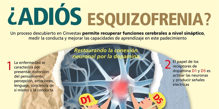 ¿Adiós esquizofrenia?