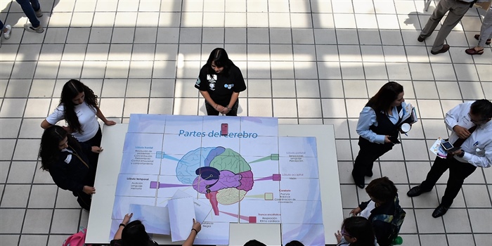 Cinvestav se suma a las actividades de la Semana Mundial del Cerebro 2023