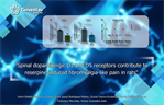 Vinicio Granados Soto - Spinal dopaminergic D1 and D5 receptors contribute to reserpine-induced fibromyalgia-like pain in rats.