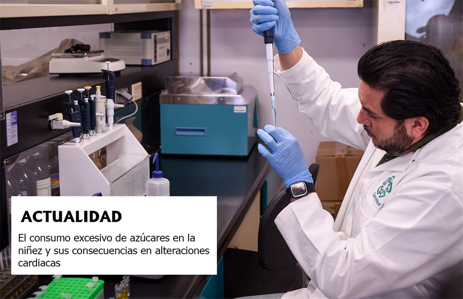 El consumo excesivo de azúcares en la niñez y sus consecuencias en alteraciones cardiacas