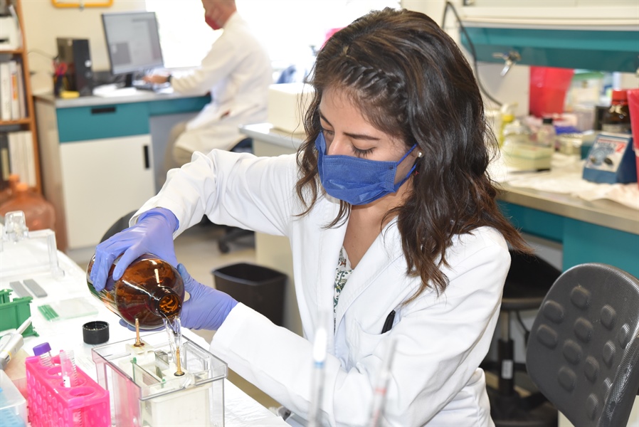 Envejecimiento, el reto de la investigación que inicia México