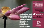 Redundant and Non-redundant Functions of the AHK Cytokinin Receptors During Gynoecium Development