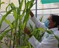 Día de la Fascinación por las plantas