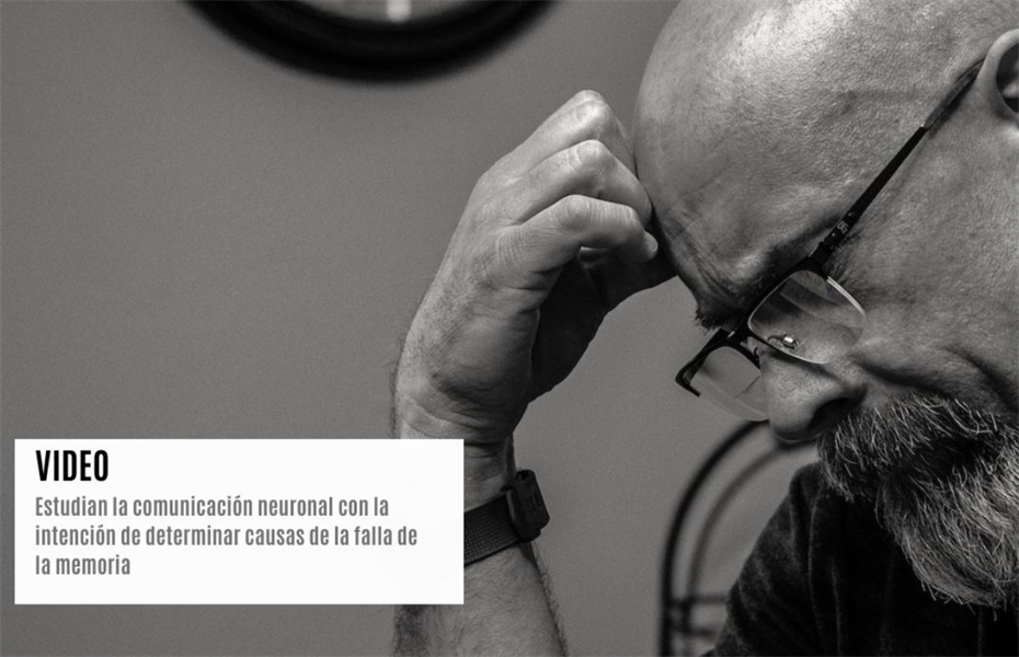 Comunicación neuronal