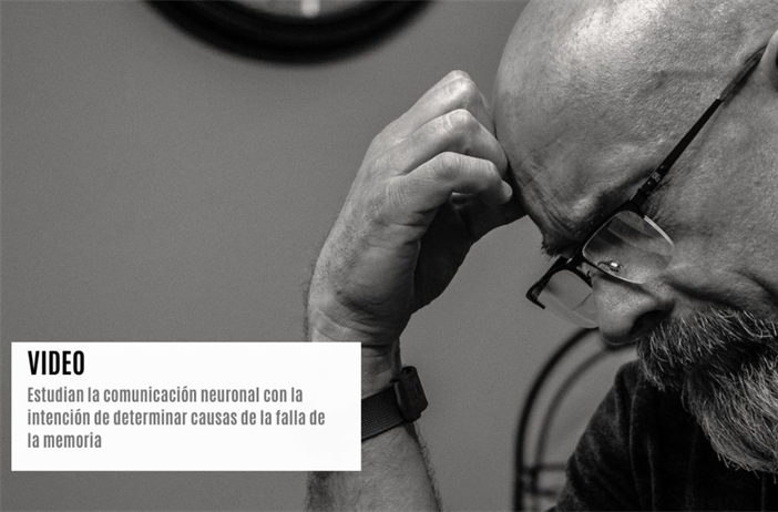 Comunicación neuronal
