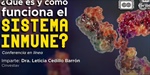 ¿Qué es y cómo funciona el sistema inmune?