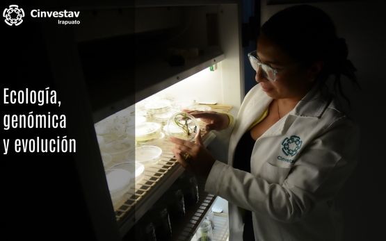 Ecología, genómica y evolución