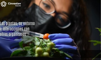 Las plantas, su entorno e interacciones con otros organismos