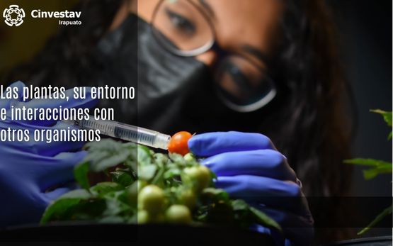 Las plantas, su entorno e interacciones con otros organismos