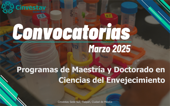 Convocatorias