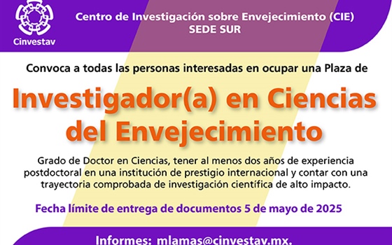 Convocatoria de Investigador(a)