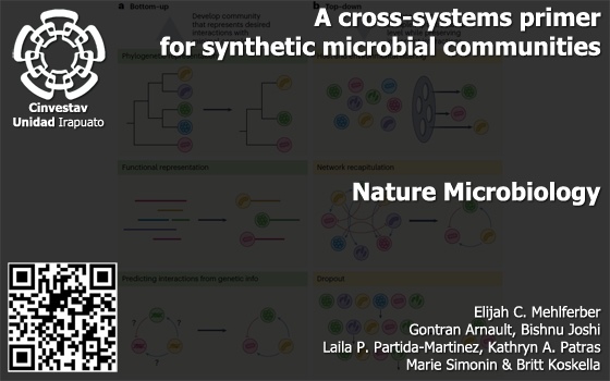 A cross-systems primer for synthetic microbial communities