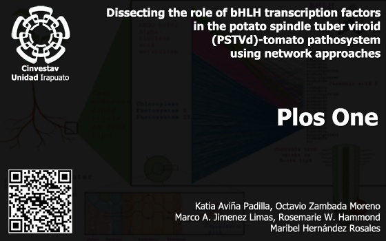 Dissecting the Role of bHLH Transcription Factors in the Potato Spindle Tuber Viroid (PSTVd)-Tomato Pathosystem Using Network Approaches