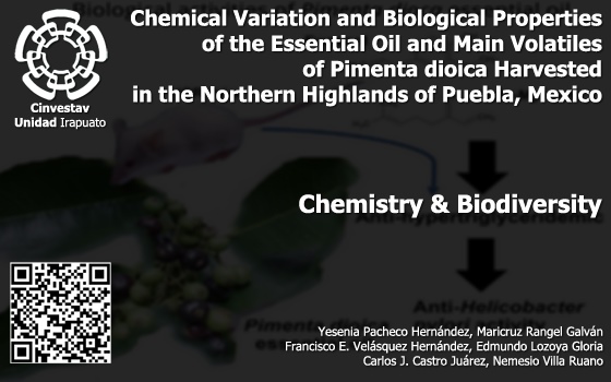 Chemical Variation and Biological Properties of the Essential Oil and Main Volatiles of Pimenta dioica Harvested in the Northern Highlands of Puebla, Mexico