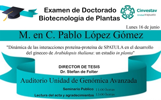 Examen de Doctorado