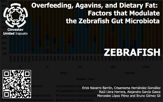Overfeeding, Agavins, and Dietary Fat: Factors that Modulate the Zebrafish Gut Microbiota