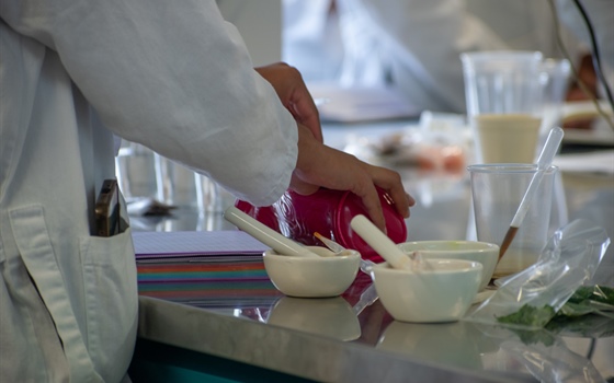 Experimentos del taller de Ciencia Viva 2025