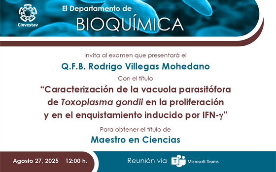 Q.F.B. Rodrigo Villegas Mohedano
