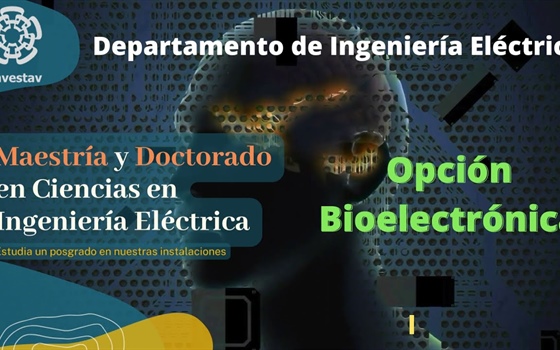 Video IE Sección Bioelectrónica - Líneas de Investigación