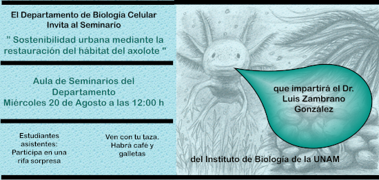 Sostenibilidad urbana mediante la  restauración del hábitat del axolote