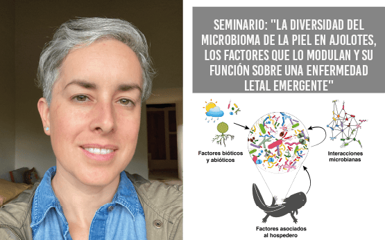 Seminario: 