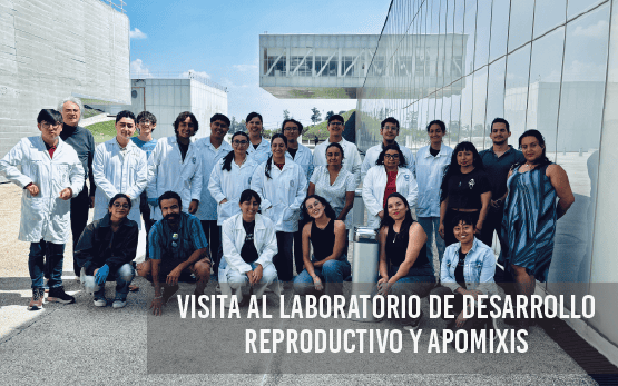 Visita al Laboratorio de Desarrollo Reproductivo y Apomixis