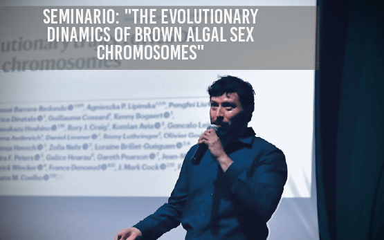 Seminario: 