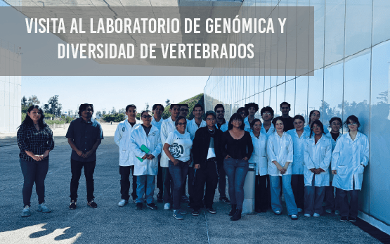 Visita al Laboratorio de Genómica y Diversidad de Vertebrados