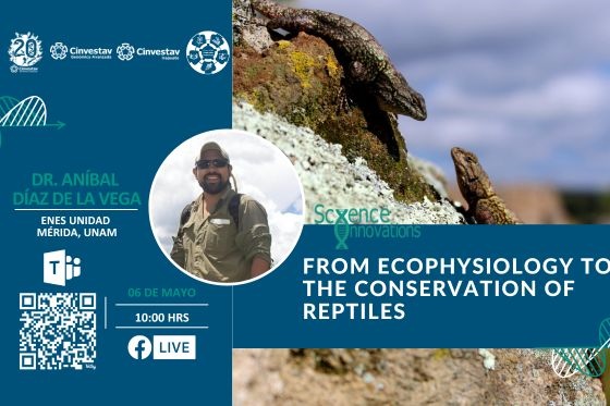 From ecophysiology to the conservation of reptiles