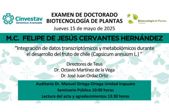 Examen de doctorado de M.C. Felipe de Jesús Cervantes Hernández