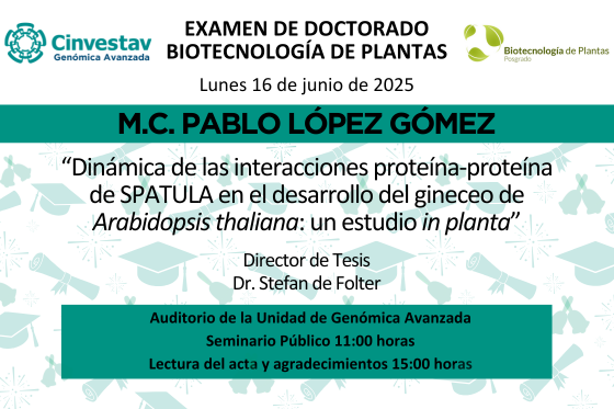 Examen de doctorado de M.C. Pablo López Gómez