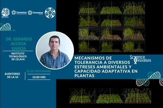 Seminario: 