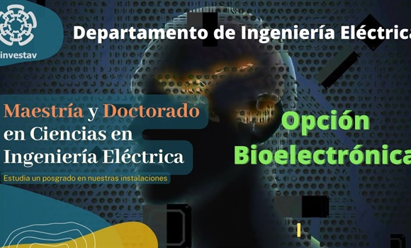 Video IE Sección Bioelectrónica - Líneas de Investigación