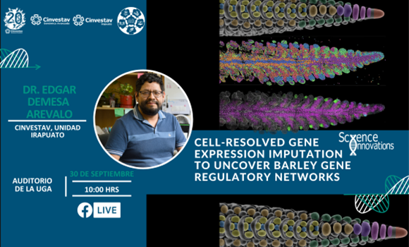 Seminario: Cell-resolved gene expression imputation  to uncover barley gene regulatory networks