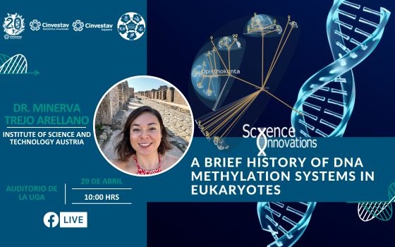 A brief history of DNA methylation systems in Eukaryotes