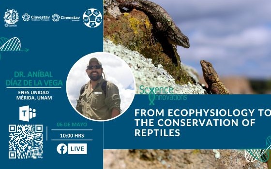 From ecophysiology to the conservation of reptiles