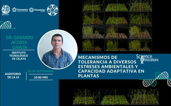 Seminario: 