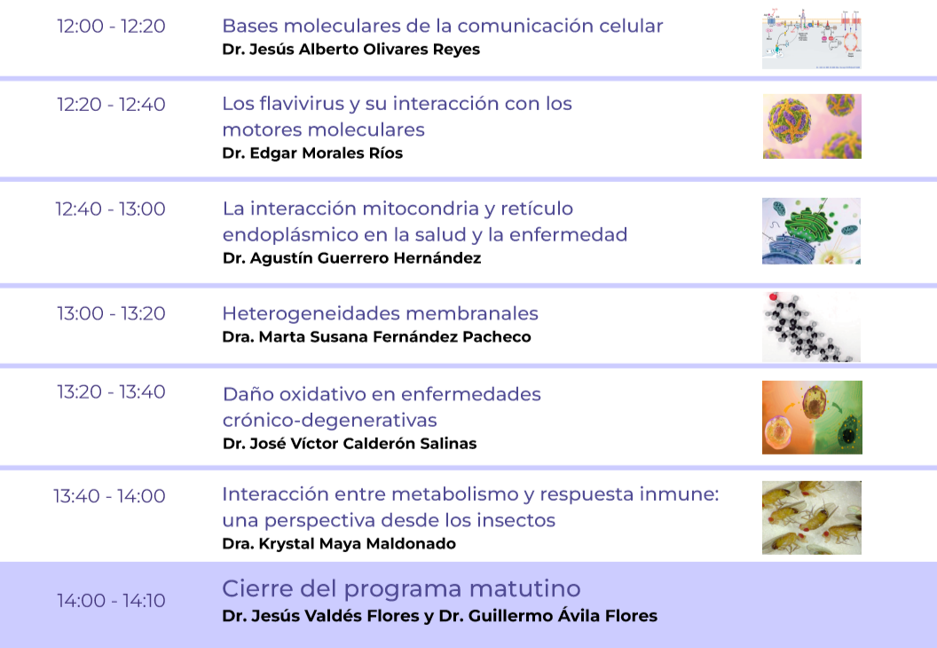 Programa