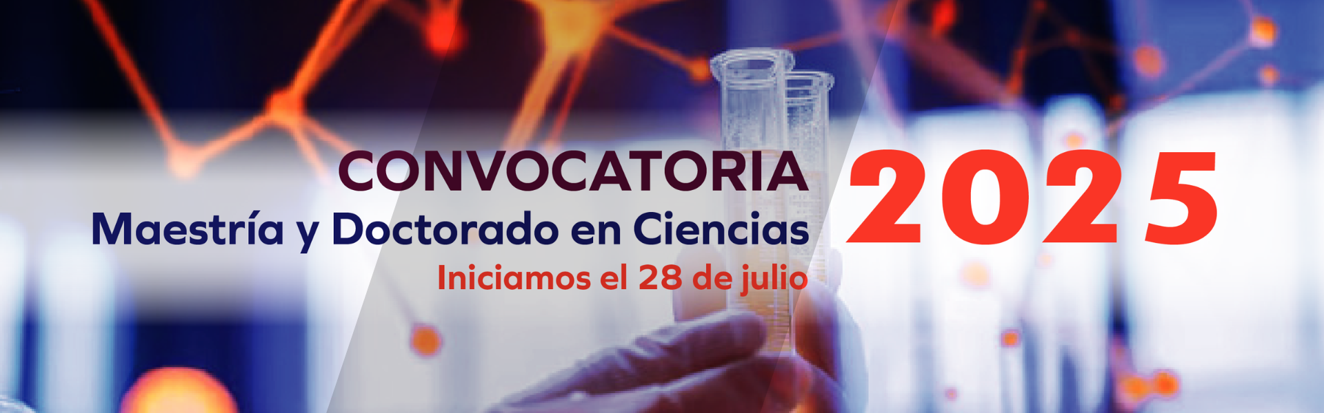Convocatoria 2025