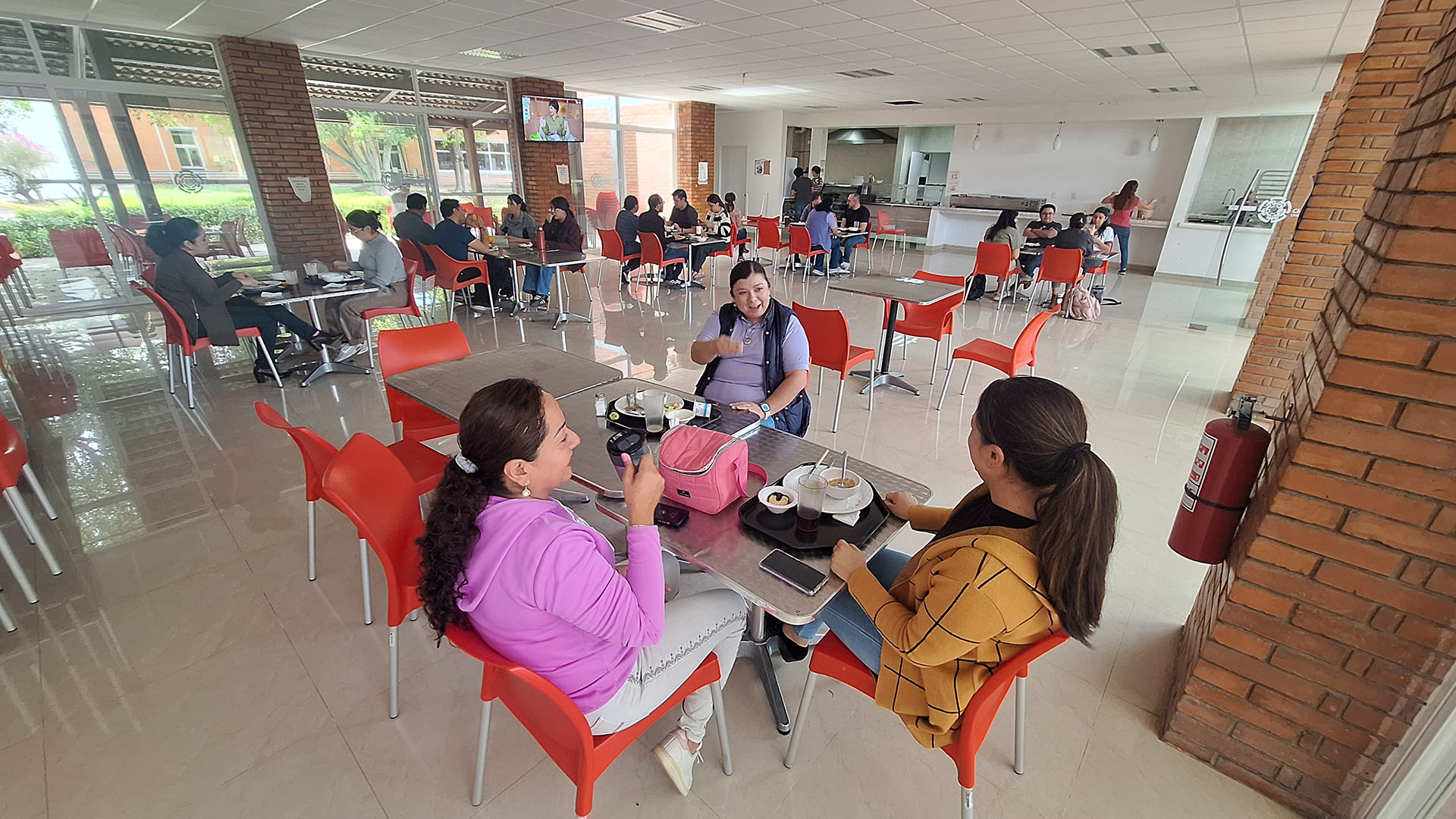 Vista del área de comedor